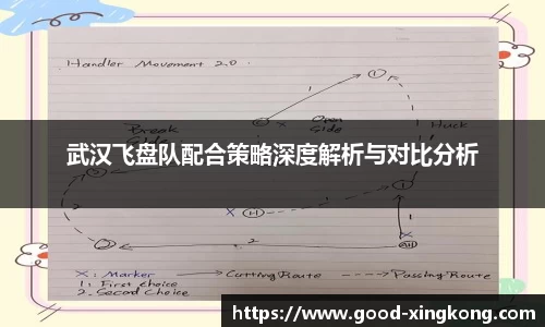 武汉飞盘队配合策略深度解析与对比分析